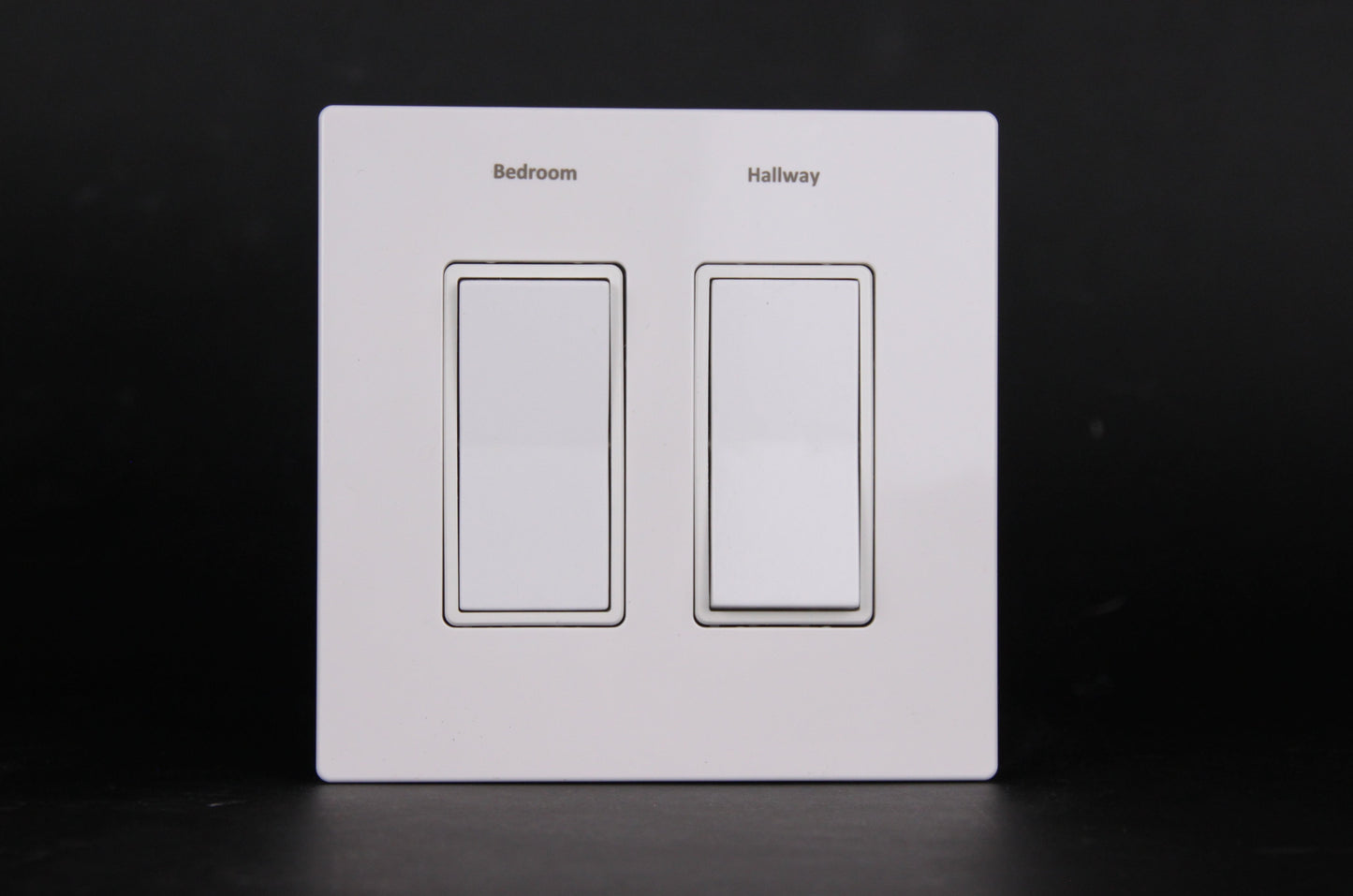 Eaton 2 gang faceplate with custom engraving