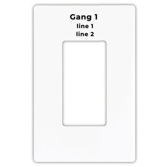 Eaton 1 gang faceplate with custom engraving